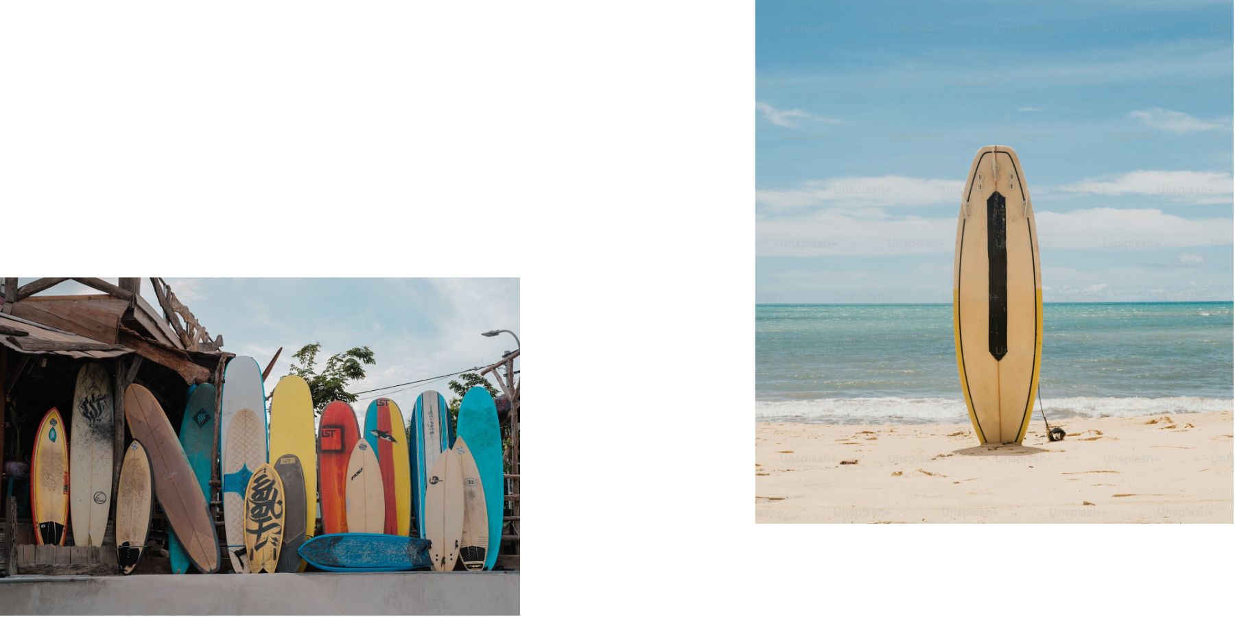 FCS Sales Store 2 FCS Sales Store -FCS Sales Store freepik minimalist dental care discount blog banner 20251101101246fD0Z